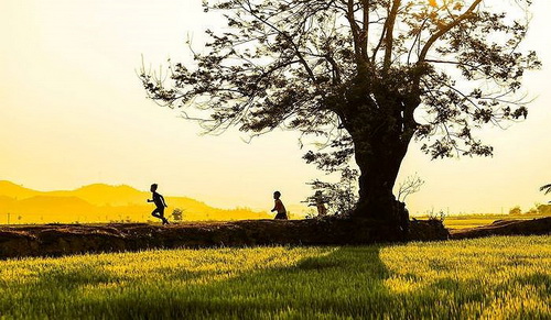 Quê hương là nơi lưu giữ những ký ức đẹp của mỗi người. Quê hương là nơi lưu giữ những ký ức đẹp của mỗi người.