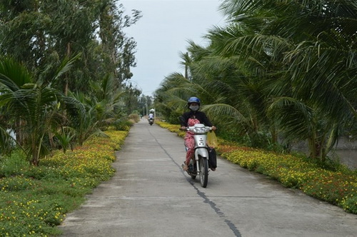 Sắc màu nông thôn mới ở Hòn Đất.