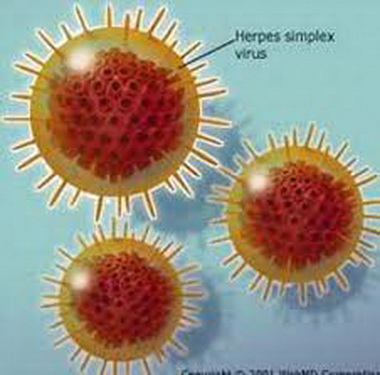 Virut Herpes.