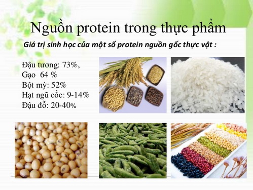 Bữa ăn cần có đa dạng các thức ăn giàu đạm có nguồn gốc từ động vật và thực vật ở tỷ lệ thích hợp để kiến tạo một cơ thể khỏe mạnh.