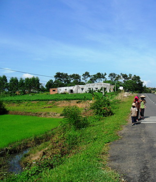 Lúa rẫy và hoa màu đã phủ xanh dọc cung đèo.