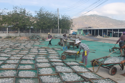 Bài và ảnh Hà Văn Đạo Bài và ảnh Hà Văn Đạo
