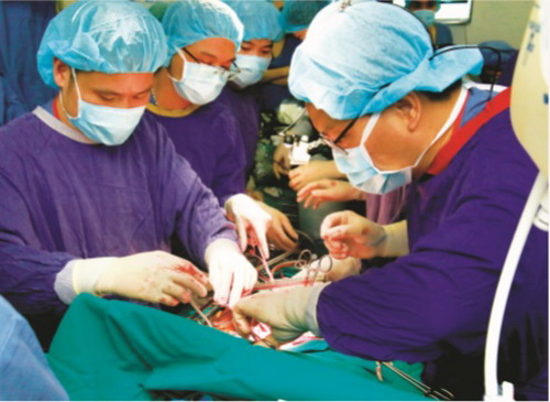 Các thầy thuốc Việt Nam lần đầu tiên làm chủ kỹ thuật ghép phổi.
