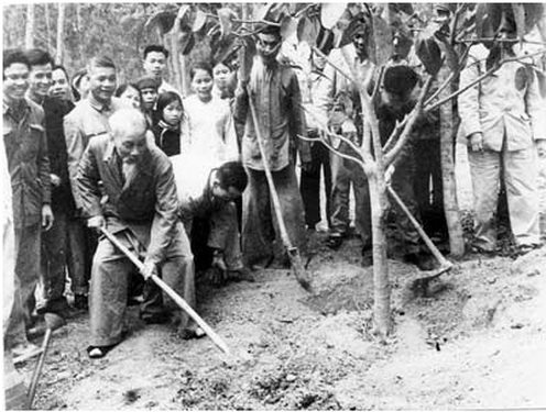 Ngày 16/2/1969 (mồng 1 Tết), Bác Hồ trồng cây ở xã Vật Lại, huyện Ba Vì, tỉnh Hà Tây (nay thuộc TP. Hà Nội) nhân Tết Kỷ Dậu.