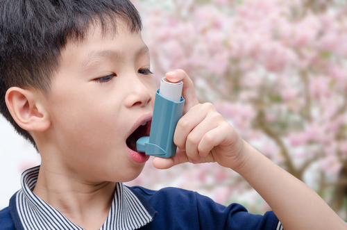 Sử dụng thuốc xịt trị hen cần đúng cách. Sử dụng thuốc xịt trị hen cần đúng cách.