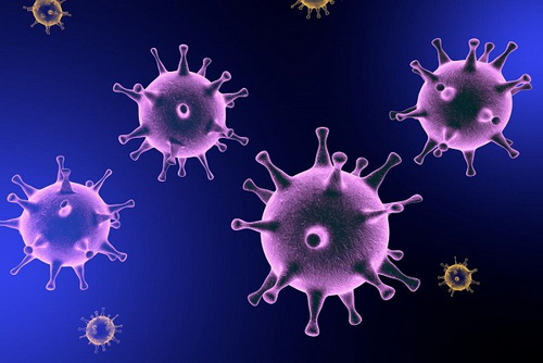 Herpesvirus được cho là nguyên nhân phát triển bệnh Alzheimer.