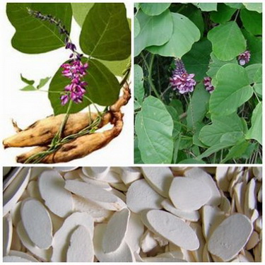 Cát căn (củ sắn dây phơi sấy khô).