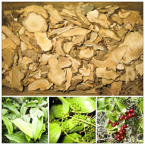 Thổ phục linh trong các bài thuốc chữa bệnh gút có tác dụng giải độc cơ thể. Thổ phục linh trong các bài thuốc chữa bệnh gút có tác dụng giải độc cơ thể.