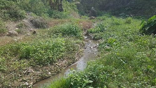 Cần xử lý đứt điểm trại lợn “đầu độc” người dân. Cần xử lý đứt điểm trại lợn “đầu độc” người dân.