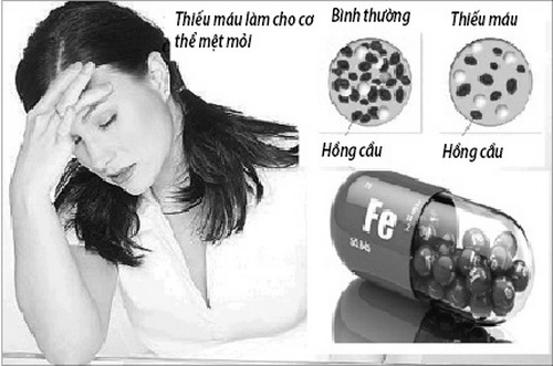 Bổ sung sắt trong các trường hợp thiếu máu, thiếu sắt.