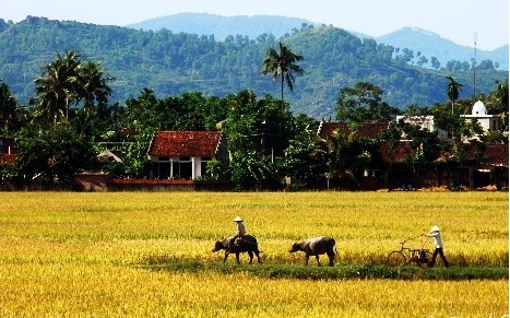 Thiên nhiên làng quê đồng bằng Bắc Bộ. (Ảnh minh họa )