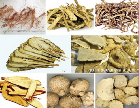 Các vị thuốc trong bài Long đởm tả can thang.