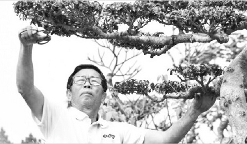 Thầy giáo, họa sĩ Đặng Xuân Cường nắn nót từng chi tiết cho tác phẩm “Nghênh phong”. Thầy giáo, họa sĩ Đặng Xuân Cường nắn nót từng chi tiết cho tác phẩm “Nghênh phong”.