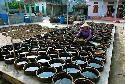 Làng nước mắm Sa Châu.