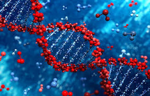 Gene đóng vai trò quan trọng trong di truyền học. Gene đóng vai trò quan trọng trong di truyền học.