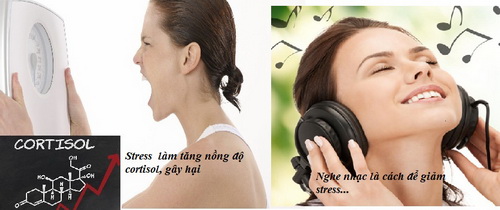 Dư thừa cortisol trong cơ thể sẽ gây hại.