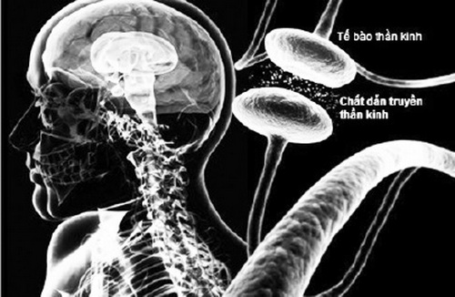 Bệnh Parkinson là một rồi loạn thoái hóa của hệ thần kinh trung ương.