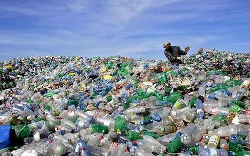 Rác thải nhựa phải mất ít nhất 500 năm mới tiêu hủy được.
