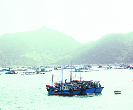 Người Vũng Rô sáng tạo các mô hình nuôi thủy hải sản sạch.