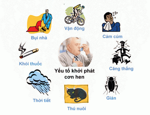 Các tác nhân dễ gây khởi phát cơn hen.