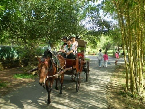 Vẻ đẹp cù lao Tam Hiệp (Đại Bình, Bến Tre).