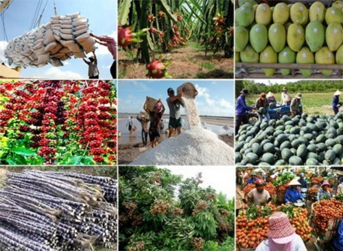 Hàng hóa Việt Nam sẽ có vị trí vững chắc trên thương trường miễn là có chất lượng tốt.