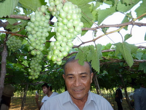 Nho Ba Mọi.