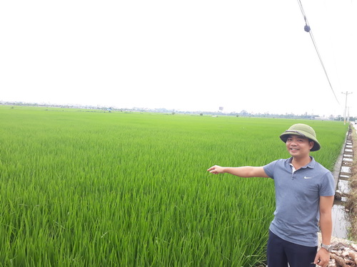Tập trung dồn điền đổi thửa, tăng năng suất là cách để người dân mặn mà với đồng ruộng.