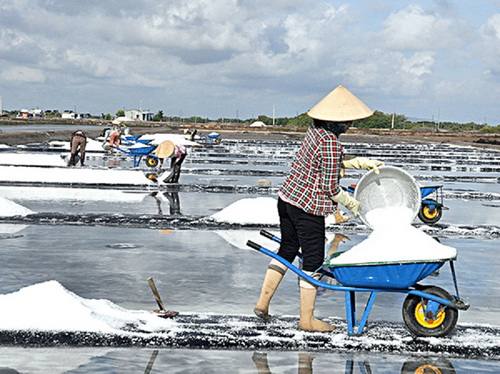 Cánh đồng muối Long Điền.