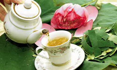 Trà lá sen là phương thuốc dân gian giảm mỡ máu, béo phì rất hiệu quả.