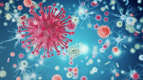 Hình ảnh Virus Sputnik.