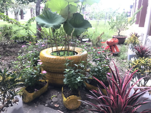 Nhiều dụng cụ tái chế được biến tấu để trồng cây nhìn vô cùng đẹp mắt.