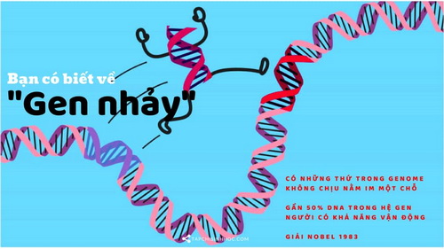 Gene- nhiều công nhưng cũng không ít tội.