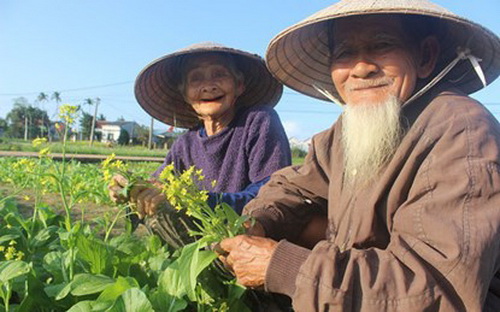 Làm vườn giúp người cao tuổi thêm nhanh nhẹn.