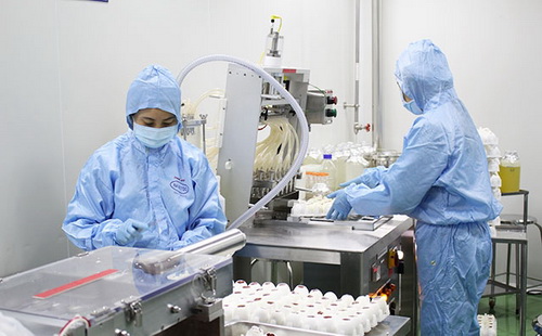Sản xuất vắc-xin cúm gia cầm H5N1 tại Công ty Navetco.