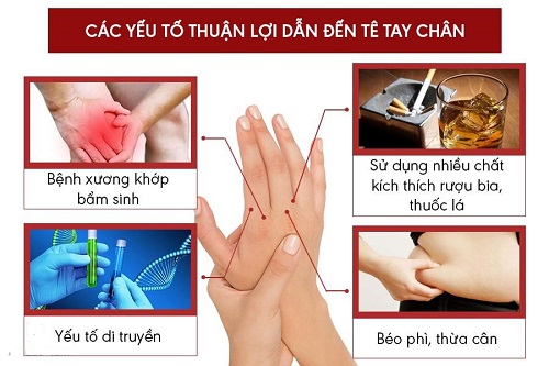 Chế Độ Ăn Uống Để Bổ Sung Các Chất Dinh Dưỡng Cần Thiết