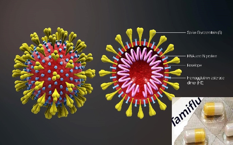 Tamiflu không có tác dụng điều trị virus Corona chủng mới nCoV.