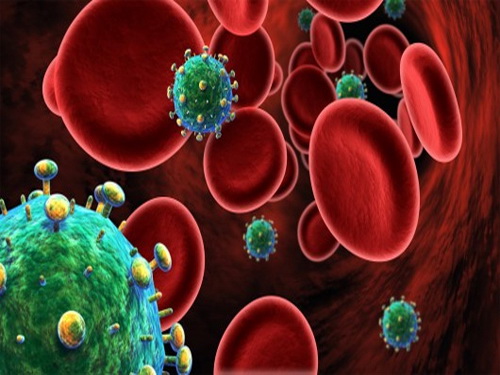 HIV tấn công tế bào bạch cầu.