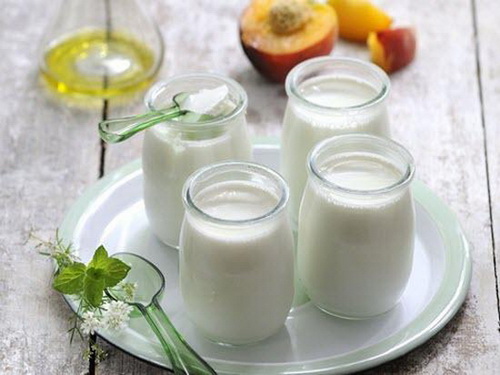 Sữa chua và thực phẩm lên men chứa nhiều vi khuẩn có lợi cho sức khỏe.