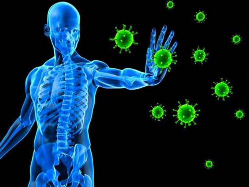 Hệ miễn dịch giúp cơ thể chống đỡ bệnh tật.