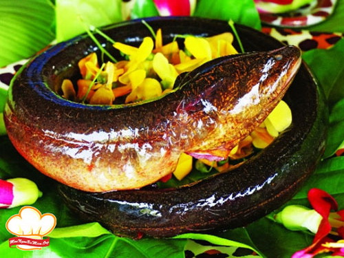 Cách dùng cây lá giang hỗ trợ chữa bệnh - Ảnh 2.