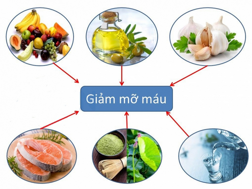 Một số thực phẩm giúp giảm cholesterol.