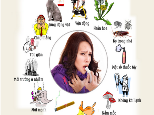 Một số tác nhân gây viêm mũi dị ứng.
