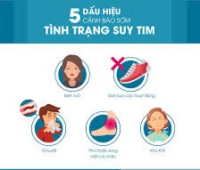 Dấu Hiệu của Bệnh Tim: Nhận Biết Sớm để Bảo Vệ Sức Khỏe