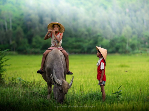 Tuổi thơ gắn bó với làng quê sẽ khiến tâm hồn lũ trẻ trở nên phong phú hơn.