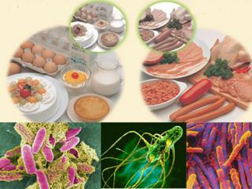 E.coli, phẩy khuẩn tả, Salmonela... là tác nhân gây nhiễm độc thức ăn.