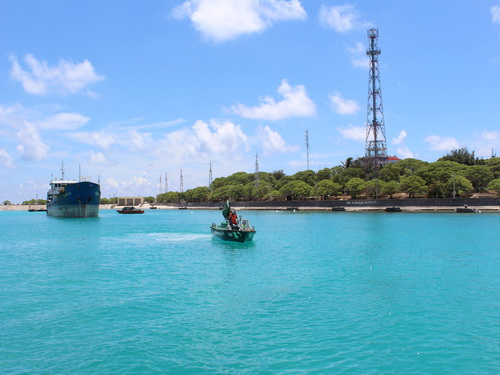 Đảo Song Tử Tây nhìn từ ngoài một màu xanh ngát.