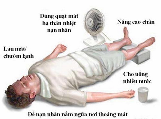 Cách sơ cứu người bị say nắng, say nóng.