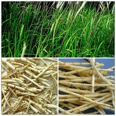 7 sai lầm thường gặp trong điều trị bệnh tiết niệu và cách xử trí đúng