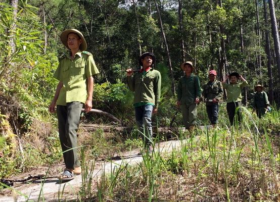 Lực lượng kiểm lâm tuần tra bảo vệ rừng.
